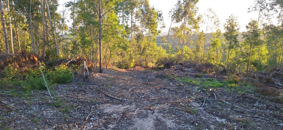 0 Bedroom Property for Sale in Knysna Rural Western Cape